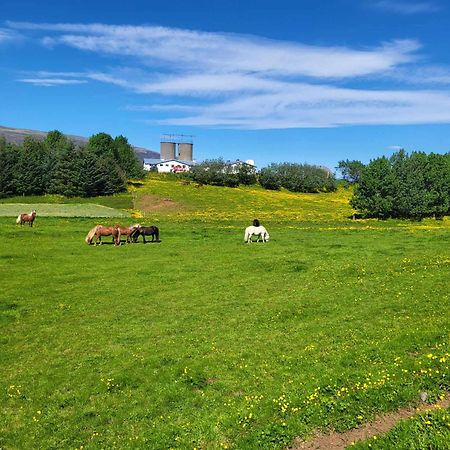 Small Cabin In The Countryside セルフォス エクステリア 写真